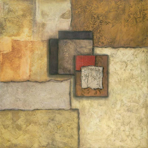 Organic Fundamentals IV Black Modern Wood Framed Art Print with Double Matting by Olson, Norm