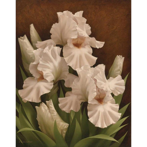 Iris Illumination I White Modern Wood Framed Art Print by Levashov, Igor