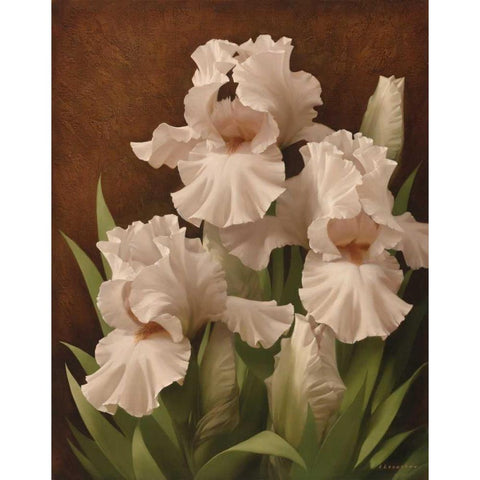 Iris Illumination II White Modern Wood Framed Art Print by Levashov, Igor