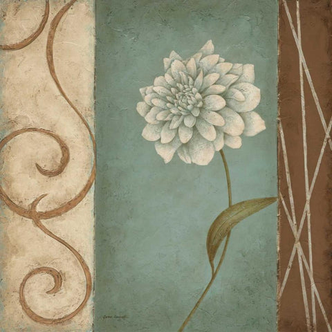 Softer Side II Black Ornate Wood Framed Art Print with Double Matting by Carroll, Jane