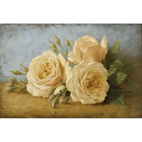 Roses from Ivan White Modern Wood Framed Art Print by Levashov, Igor