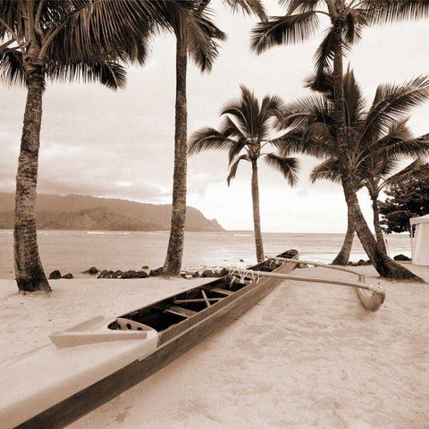 Paradise Found I Black Modern Wood Framed Art Print with Double Matting by Giordano, Victor