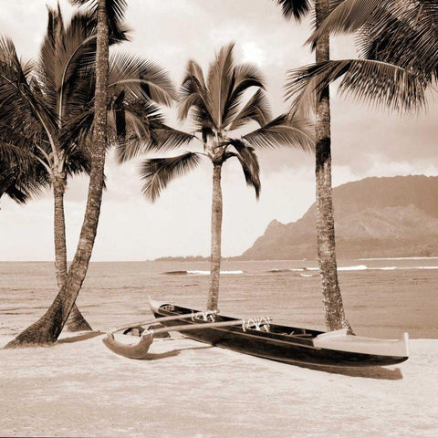 Paradise Found II Black Modern Wood Framed Art Print by Giordano, Victor