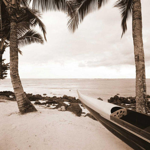 Paradise Found III Black Modern Wood Framed Art Print by Giordano, Victor