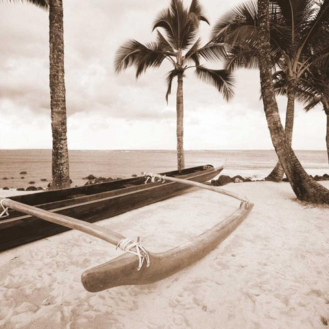 Paradise Found IV Black Modern Wood Framed Art Print with Double Matting by Giordano, Victor