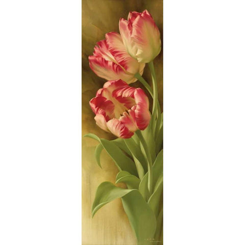 Springs Parrot Tulip I White Modern Wood Framed Art Print by Levashov, Igor