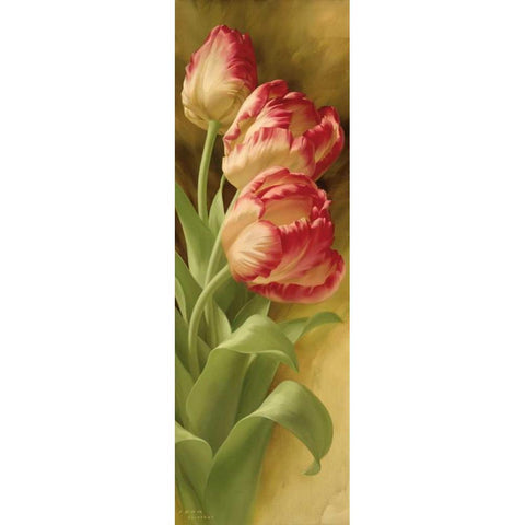 Springs Parrot Tulip II Black Modern Wood Framed Art Print with Double Matting by Levashov, Igor