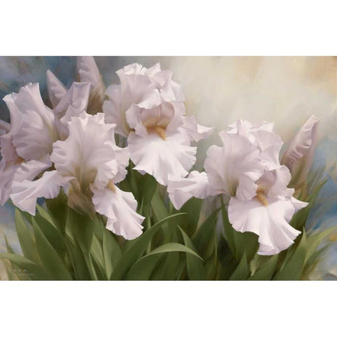 White Iris Elegance I White Modern Wood Framed Art Print by Levashov, Igor