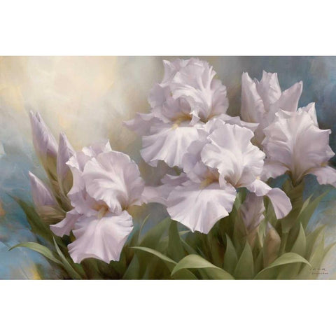 White Iris Elegance II White Modern Wood Framed Art Print by Levashov, Igor