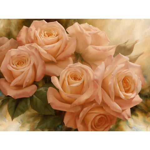 Peach Rose Splendor II White Modern Wood Framed Art Print by Levashov, Igor