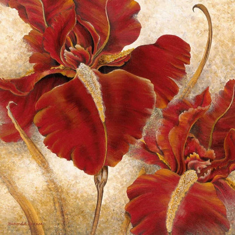 Red Iris Black Modern Wood Framed Art Print with Double Matting by Henson, Richard