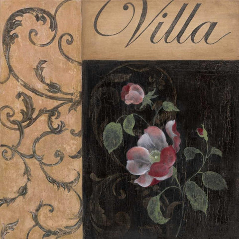 Villa Black Ornate Wood Framed Art Print with Double Matting by Tava Studios