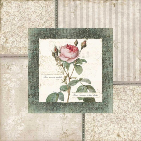 Rosa II Gold Ornate Wood Framed Art Print with Double Matting by Robinson, Carol