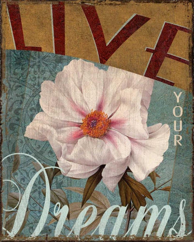 Live Your Dreams White Modern Wood Framed Art Print with Double Matting by Donovan, Kelly