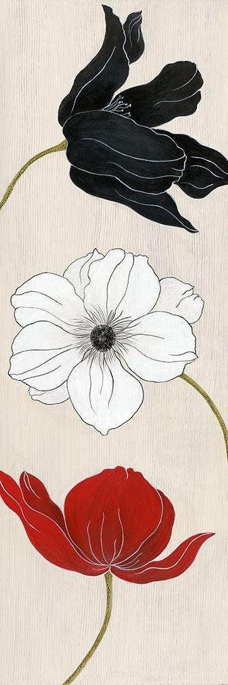 Image Only