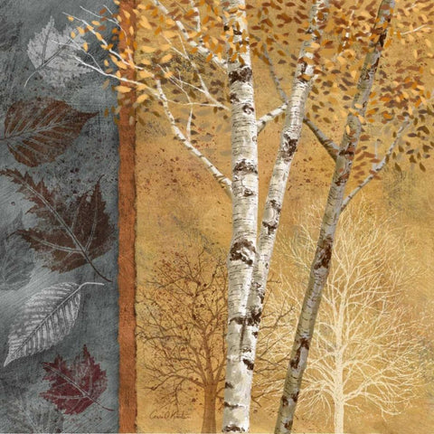 Birch Trees in Autumn I Black Modern Wood Framed Art Print with Double Matting by Knutsen, Conrad