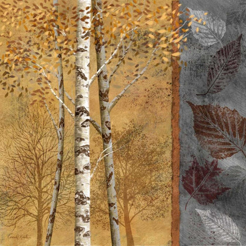 Birch Trees in Autumn II Black Modern Wood Framed Art Print with Double Matting by Knutsen, Conrad