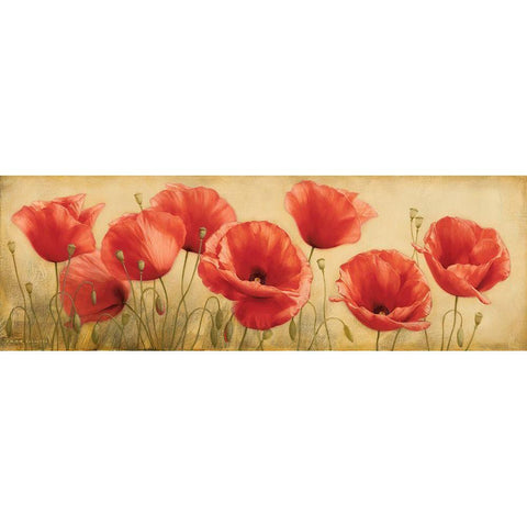 Poppies Grace I White Modern Wood Framed Art Print by Levashov, Igor