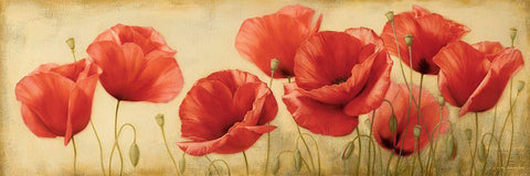 Poppies Grace II White Modern Wood Framed Art Print with Double Matting by Levashov, Igor