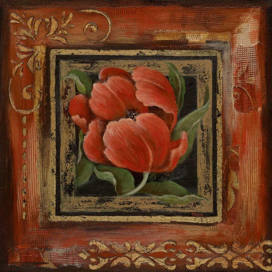 Image Only