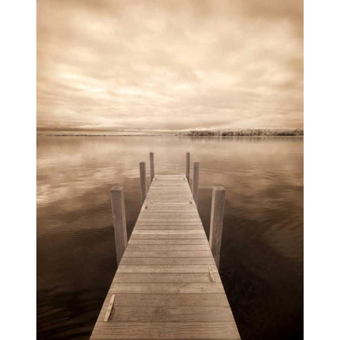 North Sky II Gold Ornate Wood Framed Art Print with Double Matting by Nagler, Monte