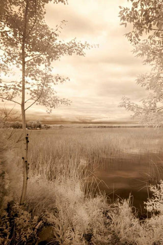 Peaceful Morning I White Modern Wood Framed Art Print with Double Matting by Nagler, Monte