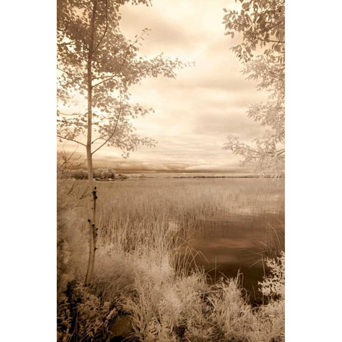 Peaceful Morning I White Modern Wood Framed Art Print by Nagler, Monte