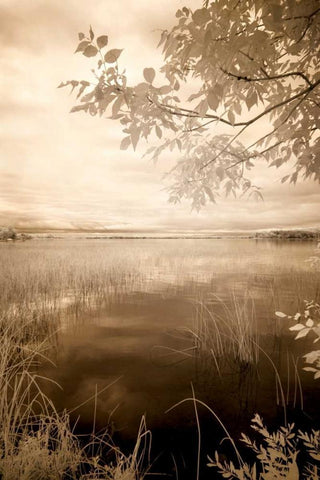 Peaceful Morning II White Modern Wood Framed Art Print with Double Matting by Nagler, Monte
