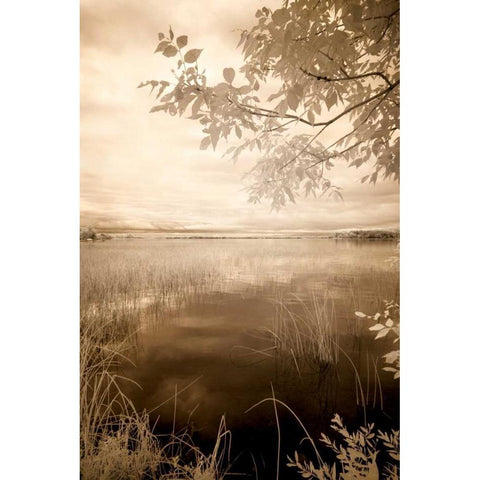 Peaceful Morning II Black Modern Wood Framed Art Print with Double Matting by Nagler, Monte