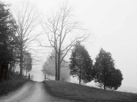 Tennessee Morning White Modern Wood Framed Art Print with Double Matting by Nagler, Monte