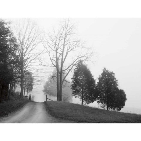 Tennessee Morning White Modern Wood Framed Art Print by Nagler, Monte