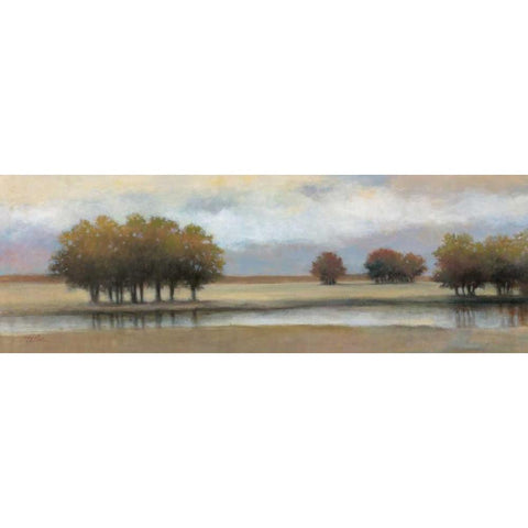 Lazy River I Gold Ornate Wood Framed Art Print with Double Matting by Chiu, T.C.