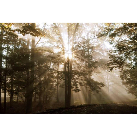 A New Day II Black Modern Wood Framed Art Print with Double Matting by Dahlgren, Ann