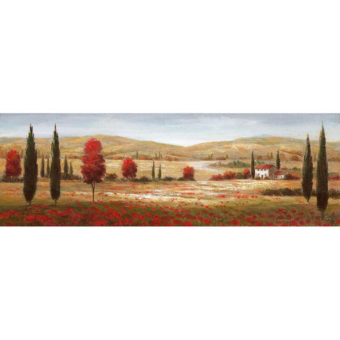 Tuscan Poppies I Black Modern Wood Framed Art Print with Double Matting by Nan