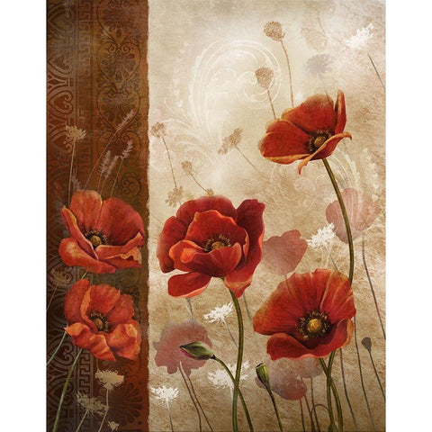 Wild Poppies I Black Modern Wood Framed Art Print with Double Matting by Knutsen, Conrad