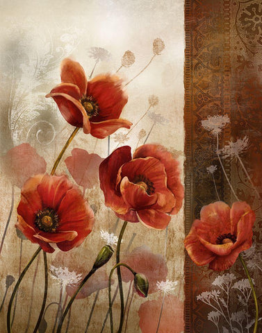 Wild Poppies II White Modern Wood Framed Art Print with Double Matting by Knutsen, Conrad