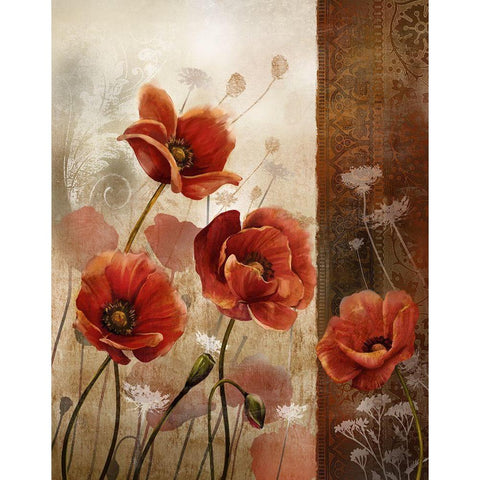 Wild Poppies II White Modern Wood Framed Art Print by Knutsen, Conrad