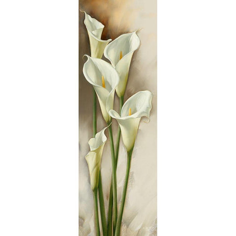 Callas Gracieux I Black Modern Wood Framed Art Print by Levashov, Igor