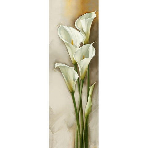 Callas Gracieux II White Modern Wood Framed Art Print by Levashov, Igor