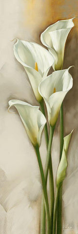 Callas Gracieux II Black Ornate Wood Framed Art Print with Double Matting by Levashov, Igor