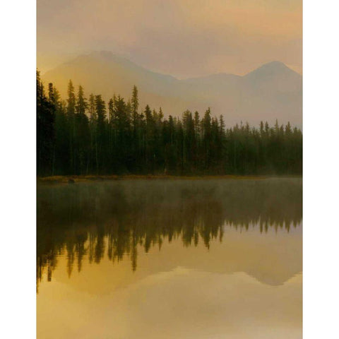 Twilight Reflection I White Modern Wood Framed Art Print by Delimont, Danita