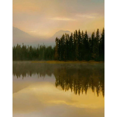 Twilight Reflection II White Modern Wood Framed Art Print by Delimont, Danita
