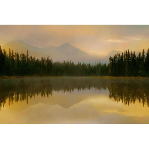 Twilight Reflection Gold Ornate Wood Framed Art Print with Double Matting by Delimont, Danita