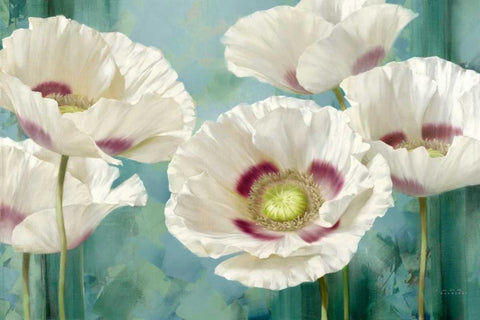 Tasmanian Poppies I White Modern Wood Framed Art Print with Double Matting by Levashov, Igor