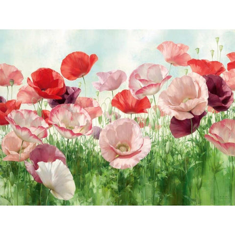 Poppies Pleasure White Modern Wood Framed Art Print by Levashov, Igor