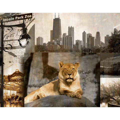 Lincoln Park Zoo White Modern Wood Framed Art Print by Donovan, Kelly