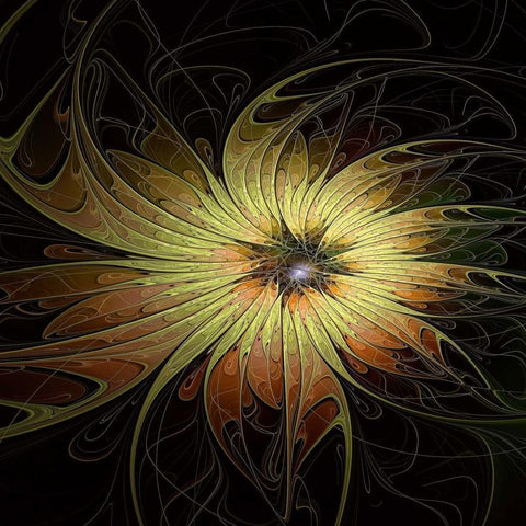 Bright Flower Black Modern Wood Framed Art Print by Moore, Amanda
