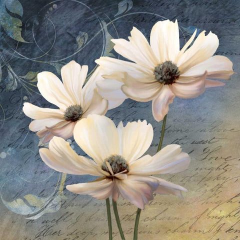 Sweet Breeze I Black Modern Wood Framed Art Print by Knutsen, Conrad