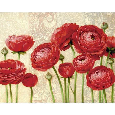 Red Serenity and Lace II Black Modern Wood Framed Art Print by Levashov, Igor