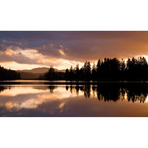 Hammersley Inlet Black Modern Wood Framed Art Print with Double Matting by Delimont, Danita